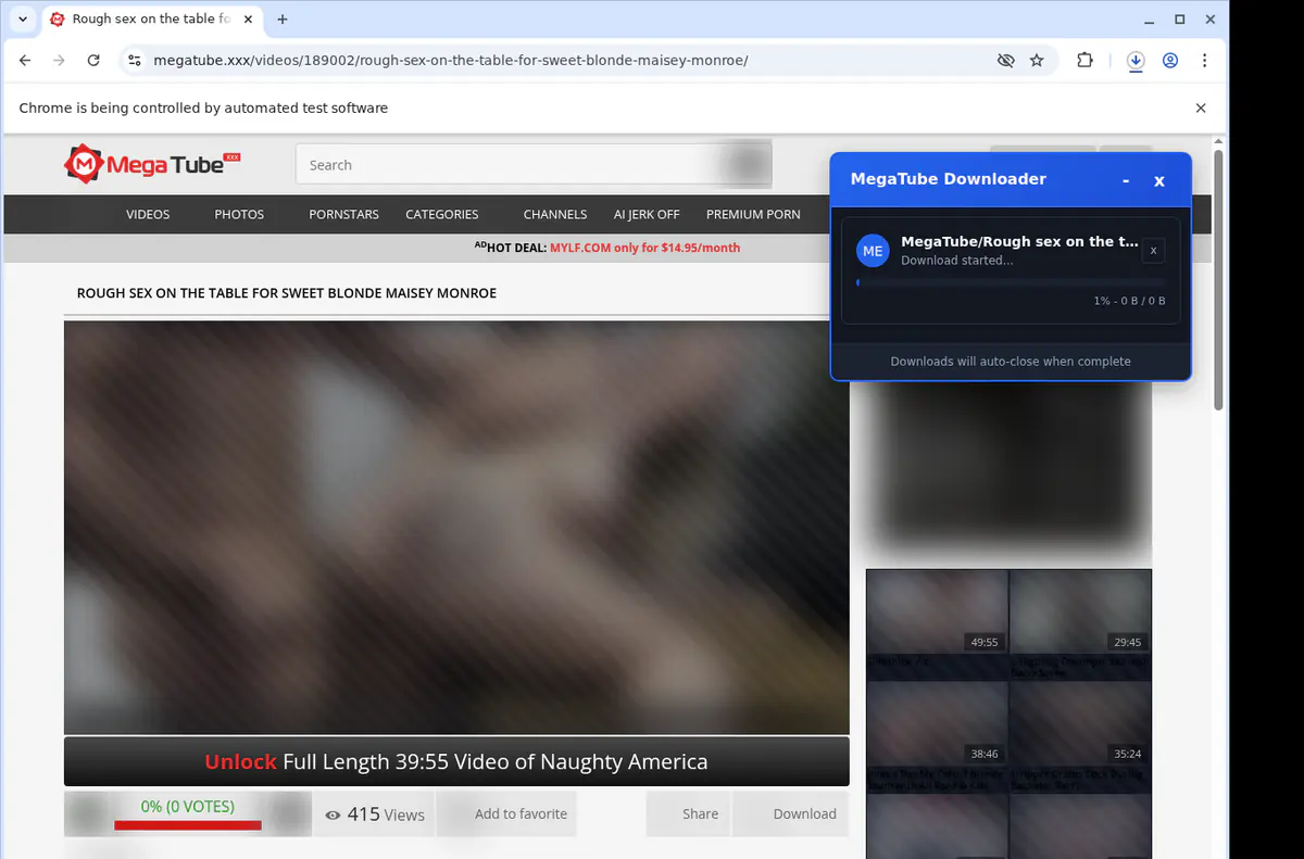 Megatube Video Downloader browser extension screenshot 2